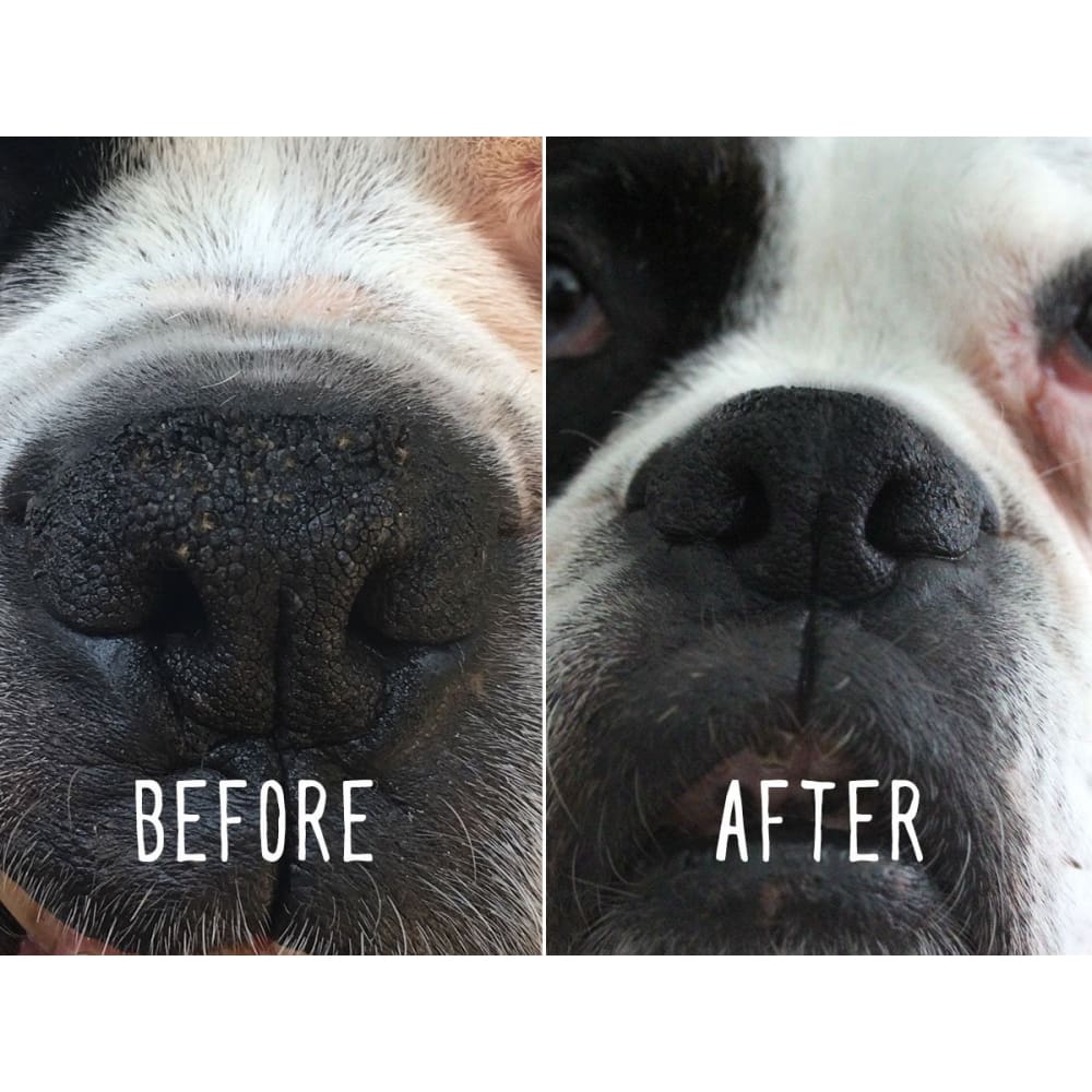 WW Balm Bam Bam - Dogs