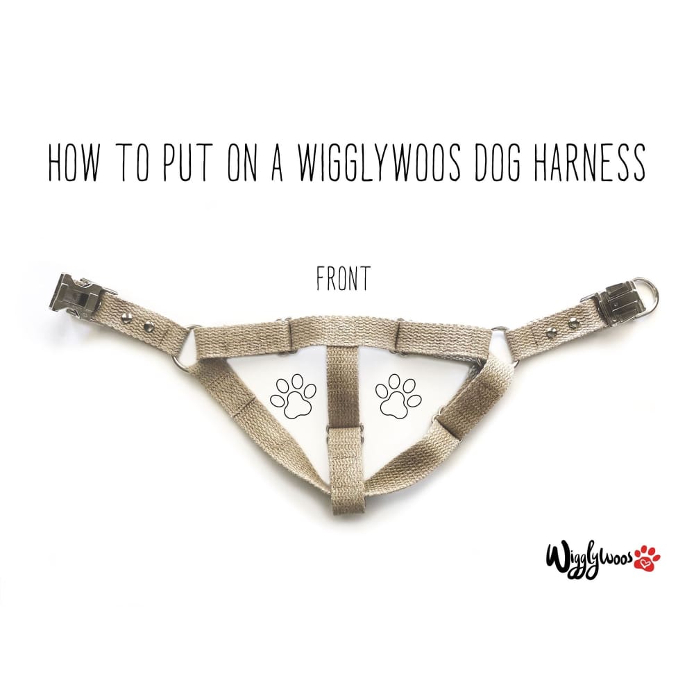 WW Blue Harness Hemp Adjustable Step-In - Dogs