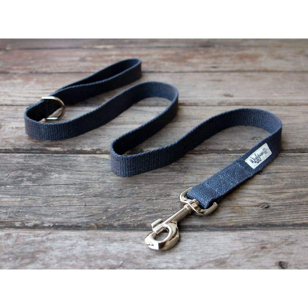 WW Blue Leash Flat Hemp - Dogs