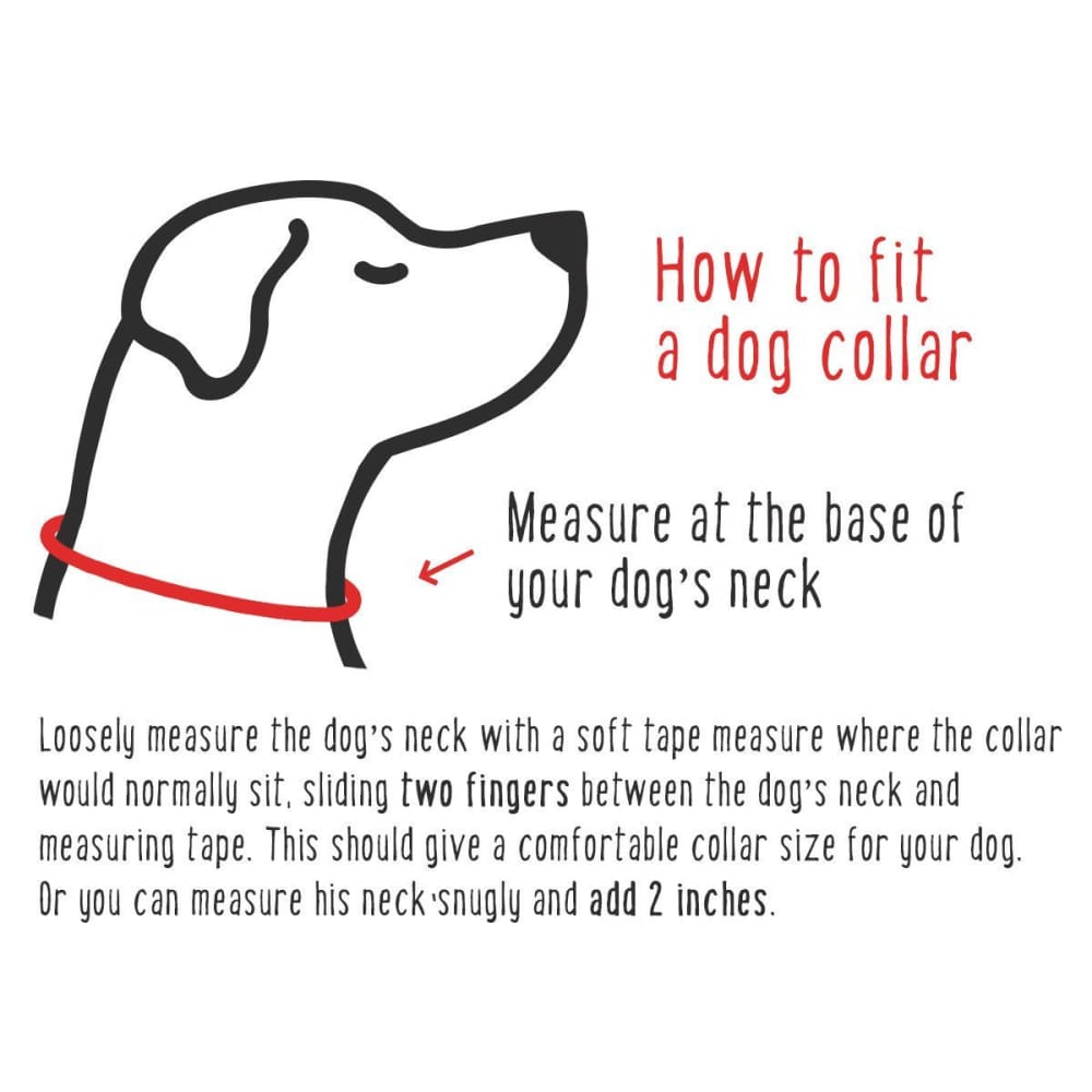 WW Collar Organic Cotton Seaside Blue - Dogs